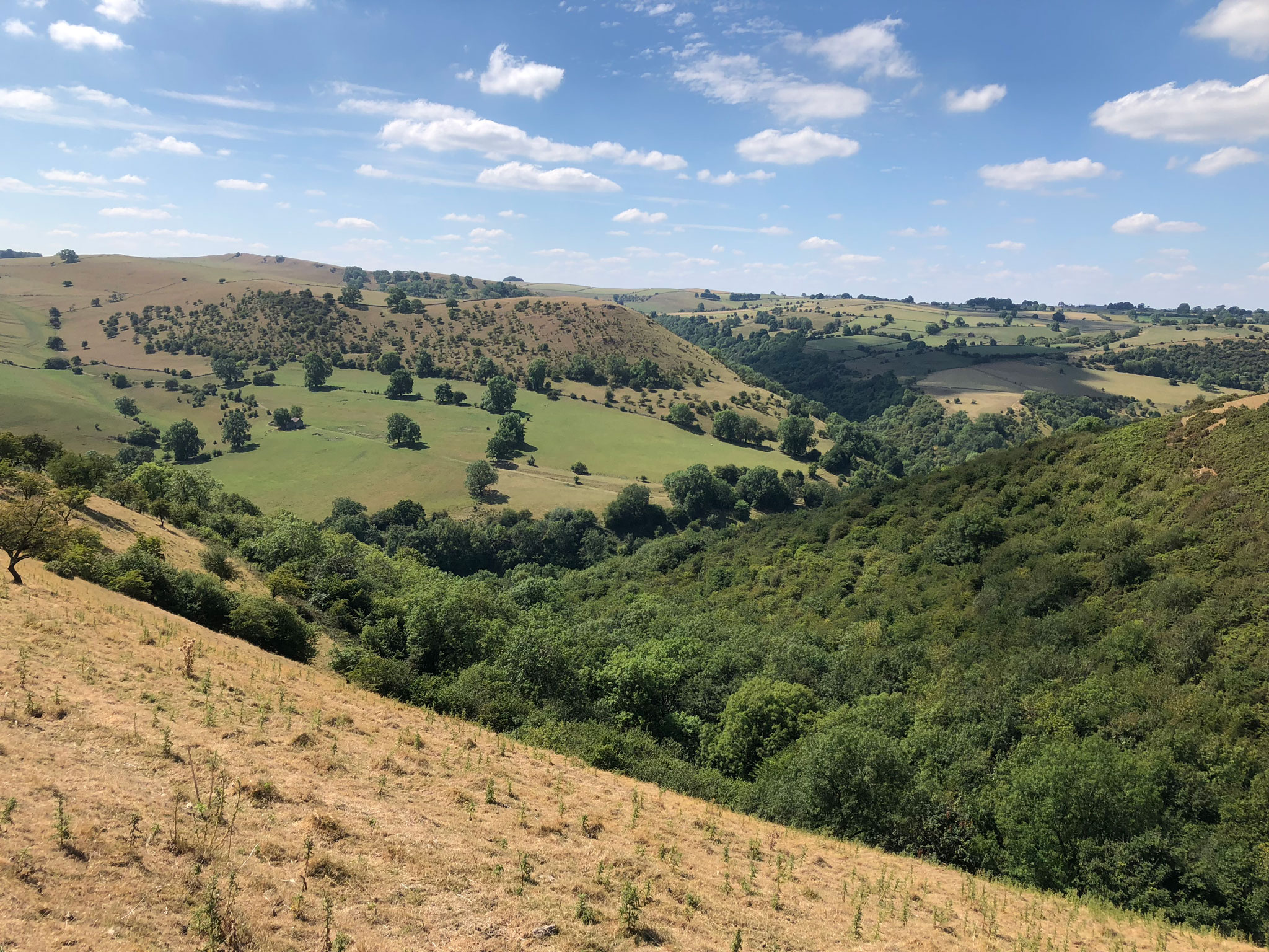 Dovedale Dipper Marathon Rolling Hills of Derbyshire